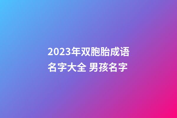 2023年双胞胎成语名字大全 男孩名字